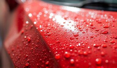 Car paint surface showing water beading from protective coating